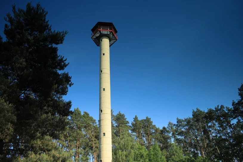 Sztuczna inteligencja zdobywa polskie lasy. "Algorytm nie zna zmęczenia"