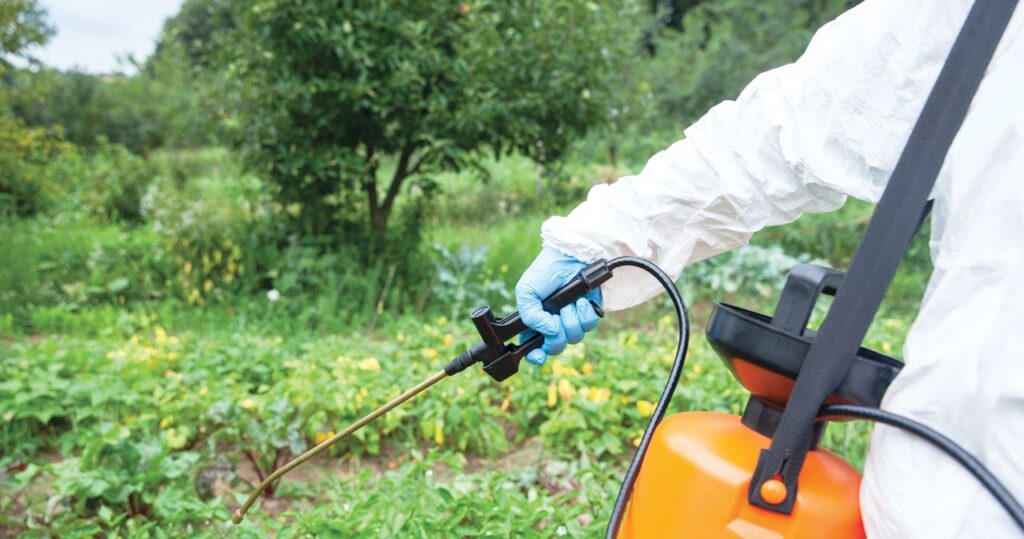 Naukowcy alarmują: stosowany powszechnie pestycyd może prowadzić do trwałych uszkodzeń mózgu u dzieci