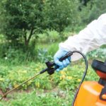 Naukowcy alarmują: stosowany powszechnie pestycyd może prowadzić do trwałych uszkodzeń mózgu u dzieci