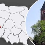 Owady cenniejsze niż złoto? Niezwykłe znalezisko w grobie dziecka sprzed 2500 lat
