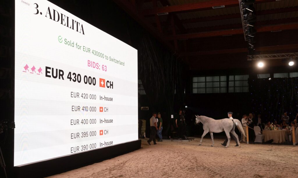 Udana Pride of Poland – konie sprzedane za 1,3 mln euro