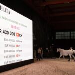 Udana Pride of Poland – konie sprzedane za 1,3 mln euro