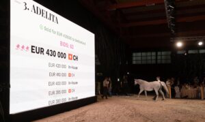 Udana Pride of Poland – konie sprzedane za 1,3 mln euro