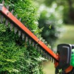 Za wysokie tuje mogą cię kosztować – sąsiad ma prawo cię pozwać. Właściciele często nie pamiętają o ograniczeniach wysokości