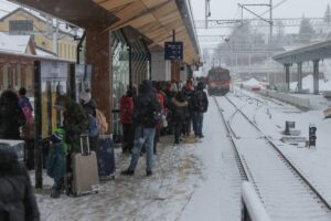 Zimowe utrudnienia w polskich lasach: ostrzeżenia dla maszynistów i zakaz wstępu w jednym z nadleśnictw